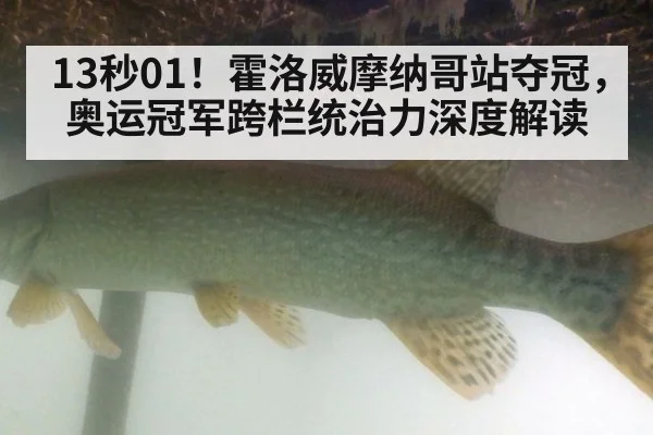 13秒01！霍洛威摩纳哥站夺冠，奥运冠军跨栏统治力深度解读